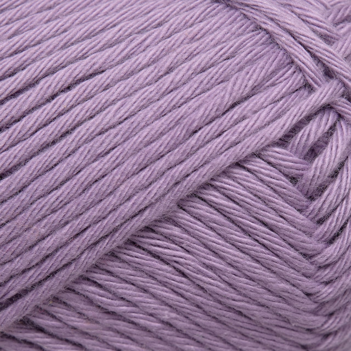 Cotton 8/8 Rose Svane