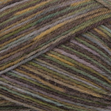 Vega Sock Yarn Universe